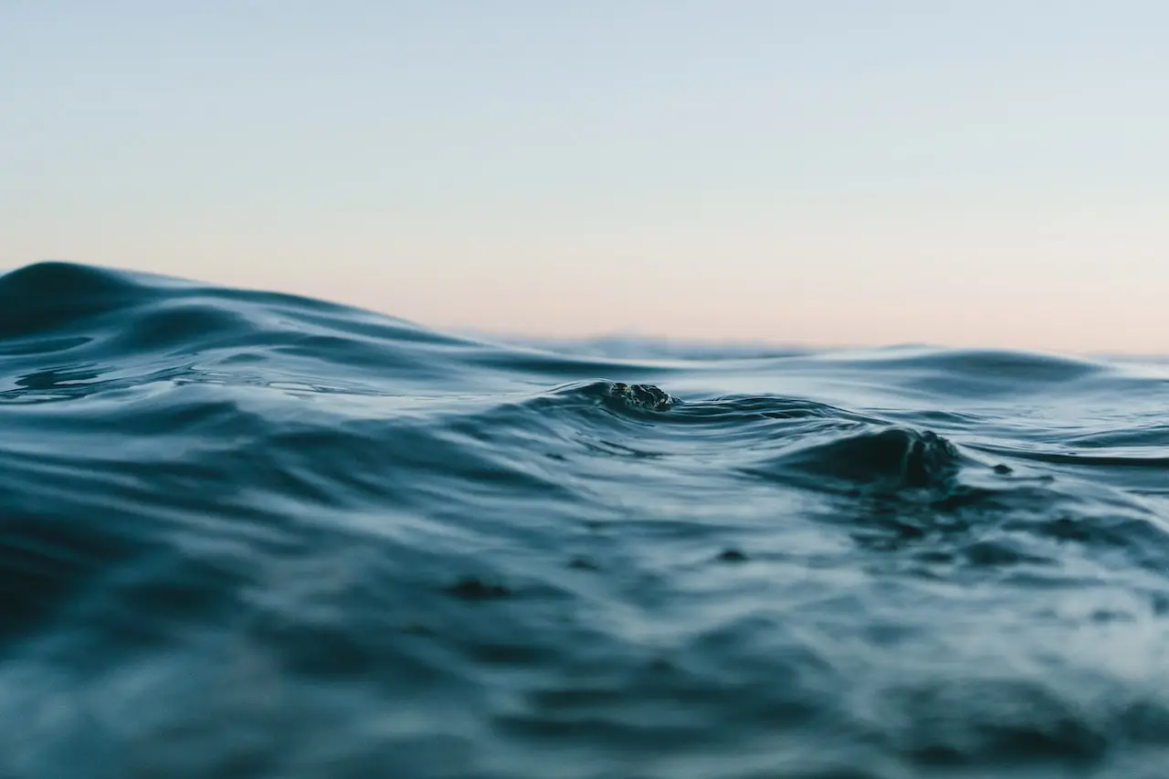 Carbon sinks: oceans